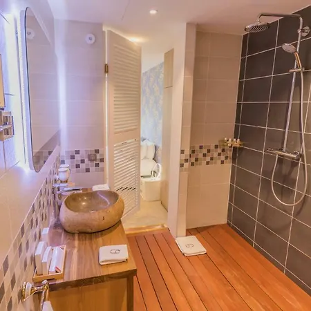 Hotel Des Quinconces Centre 5*
