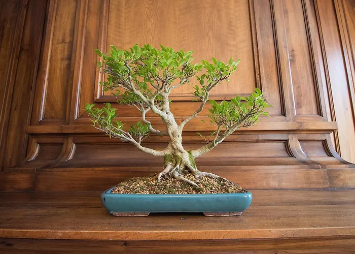 Des Quinconces Centre 5*